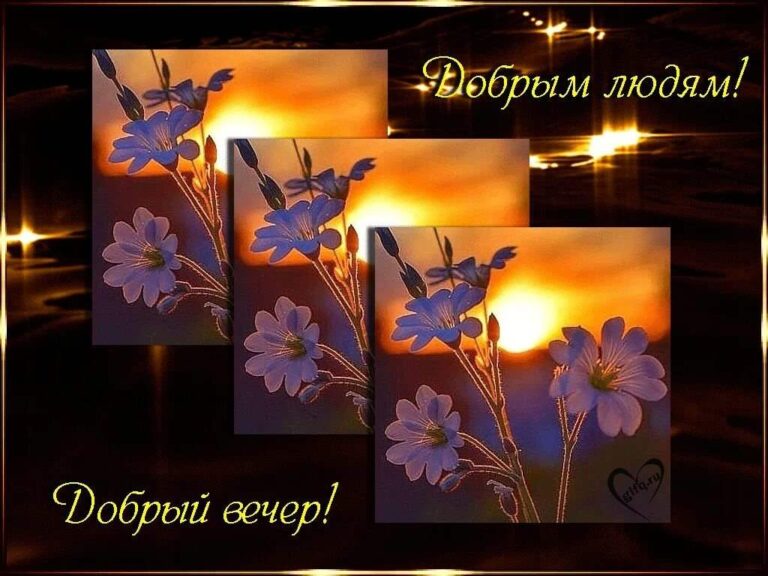 Открытки доброго вечера среда