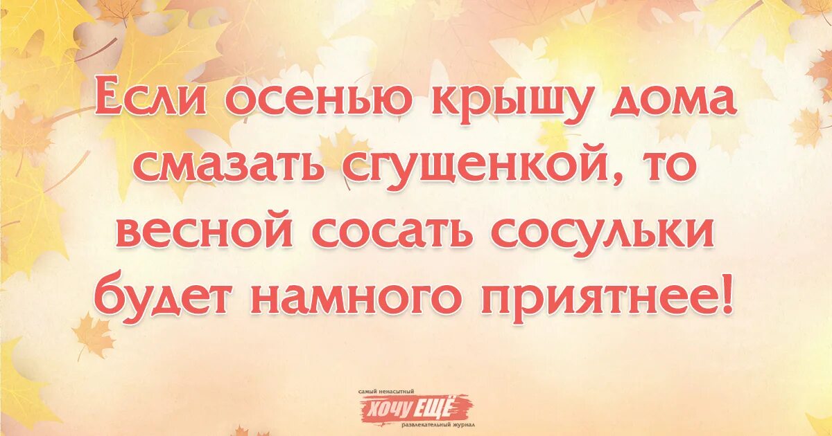 Статусы про дружбу и друзей для социальных сетей: более 50 высказываний