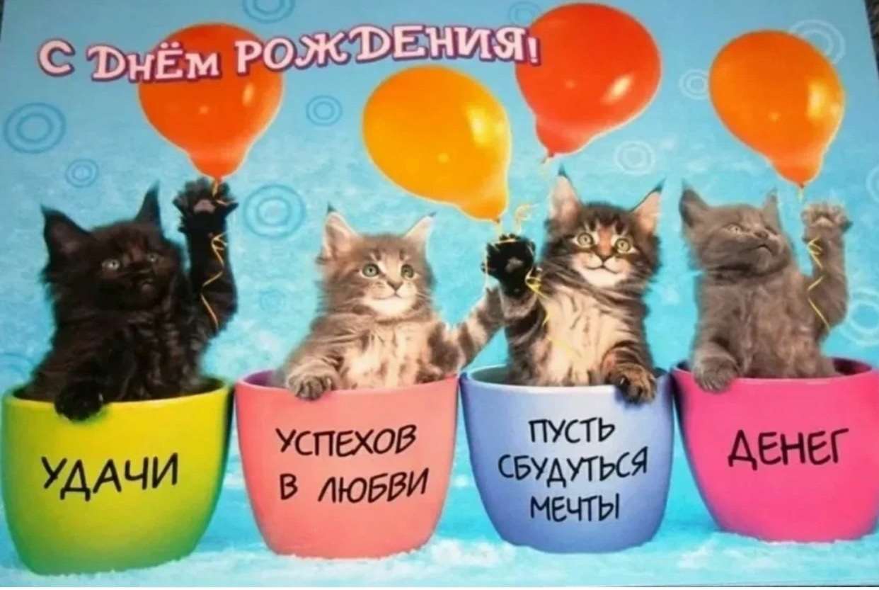 Открытка «Коты поздравляют» - УМНИЦА
