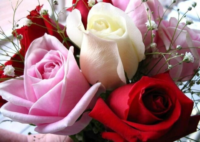 Открытки розы для женщины — скачать бесплатно
