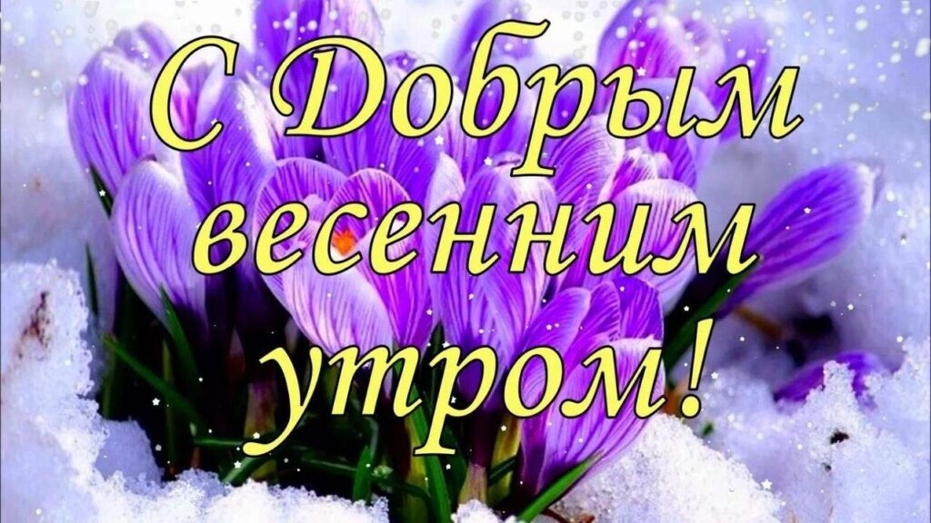 Последний день весны доброе утро