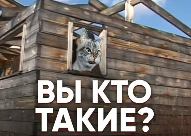 Прикольные картинки вы кто такие?