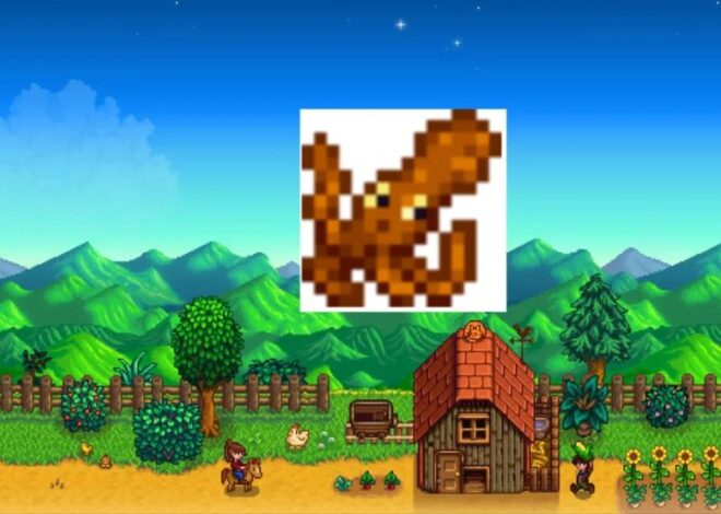 Как поймать Осьминога в Stardew Valley